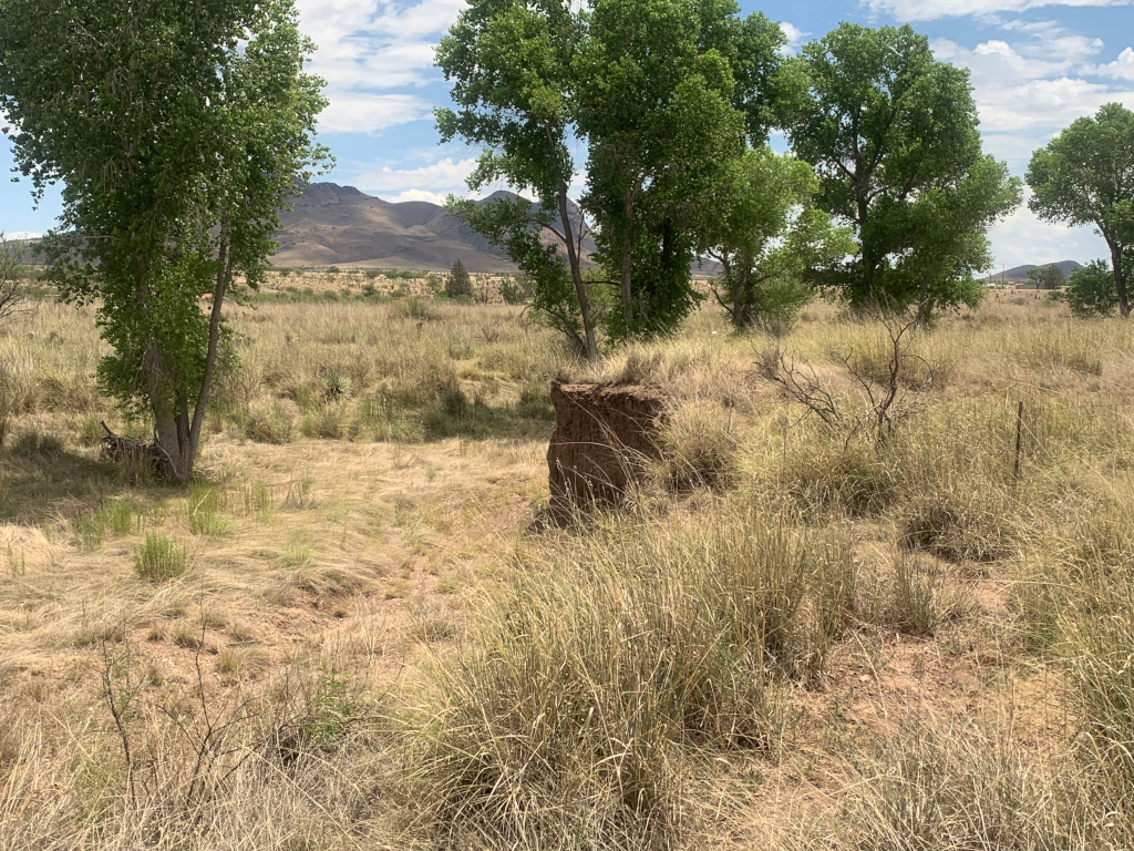 Babocomari River stream bed, Elgin, Arizona, 2019
