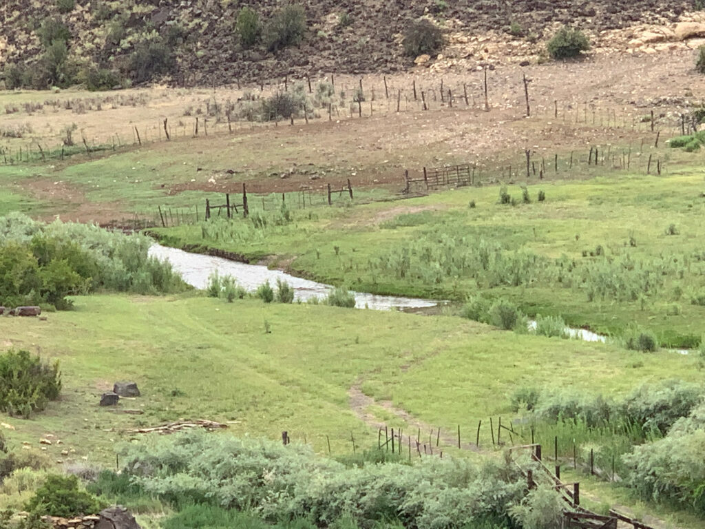 View of Arizona state grazing lease #05-1662 along the Little Colorado River downstream from the Wenima Wildlife Area on July 23, 2019.