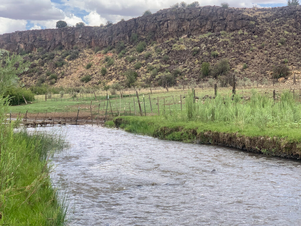 View of Arizona state grazing lease #05-1662 along the Little Colorado River downstream from the ungrazed Wenima Wildlife Area on July 23, 2019.