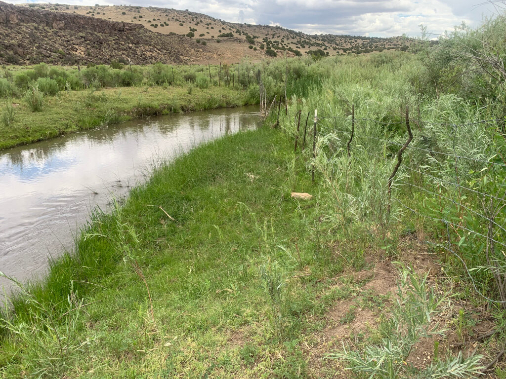 Arizona State Land grazed under lease #05-001662 on the left. The ungrazed Wenima Wildlife Area managed by the Arizona Game & Fish Department on the right. Photo taken July 23, 2019.