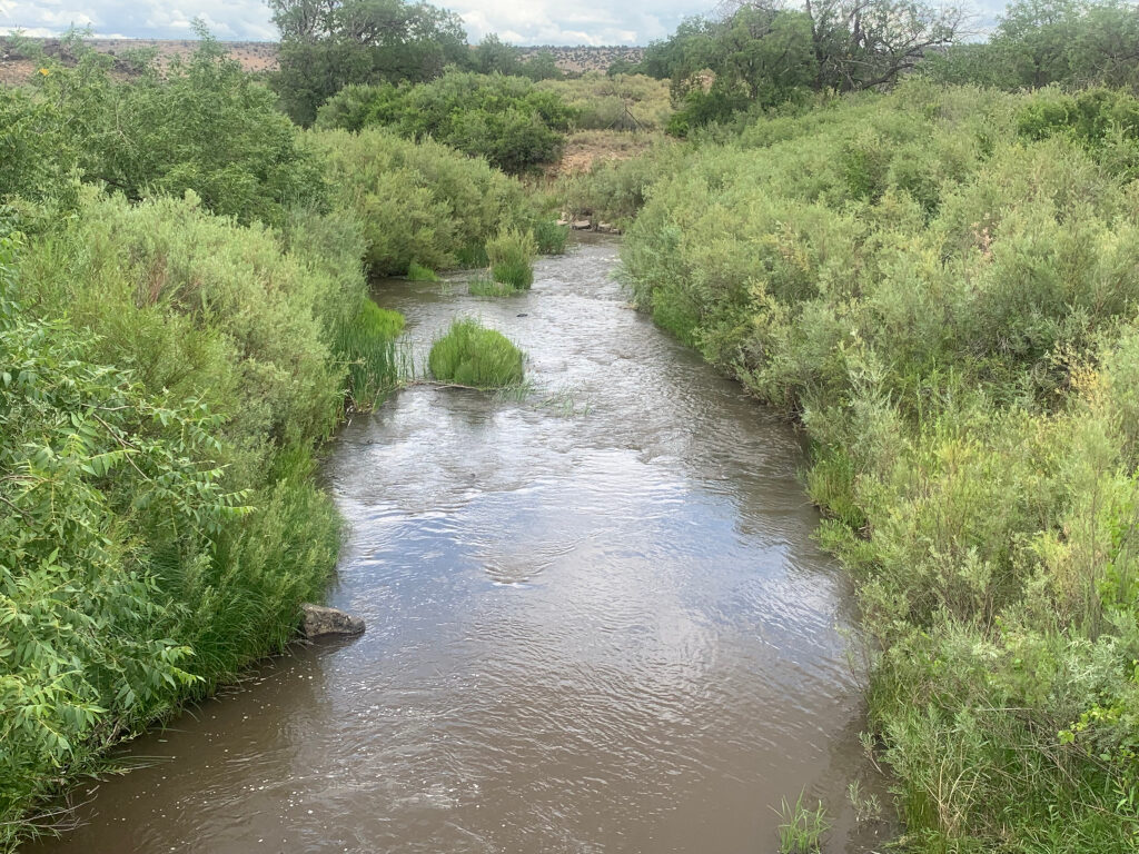 View of the Little Colorado River looking downstream within the ungrazed Wenima Wildlife Area, July 23, 2019.
