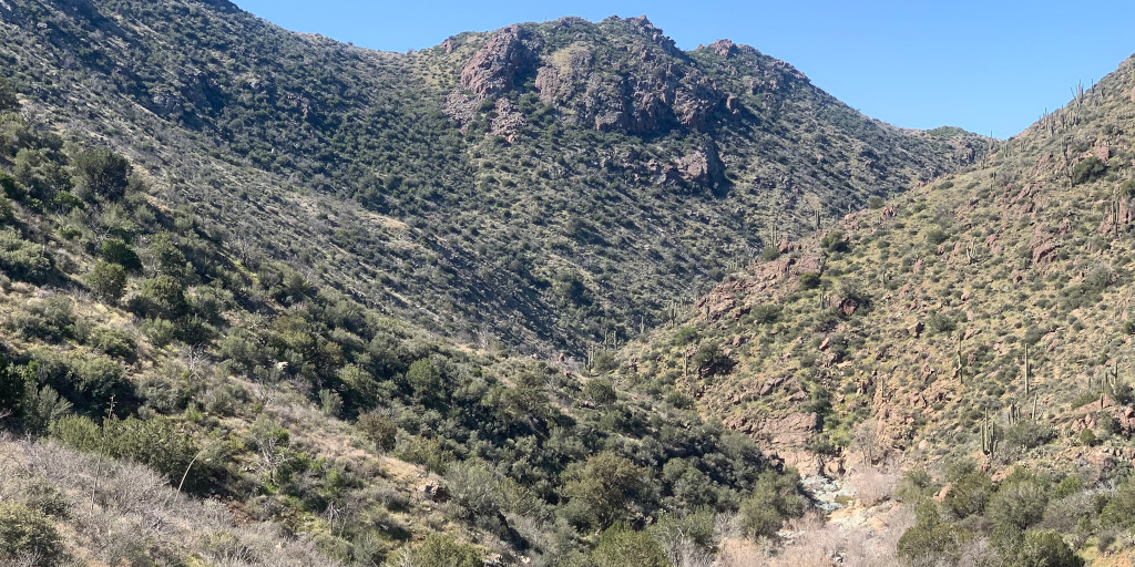 Cave Creek Canyon, Tonto National Forest