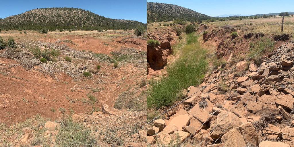 Erosion caused by cattle grazing on the Yavapai Ranch