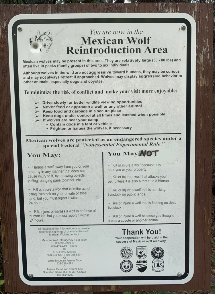 Vandalized Mexican Wolf Reintroduction Area sign, Honeymoon Campground, Clifton Ranger District, August 2020.