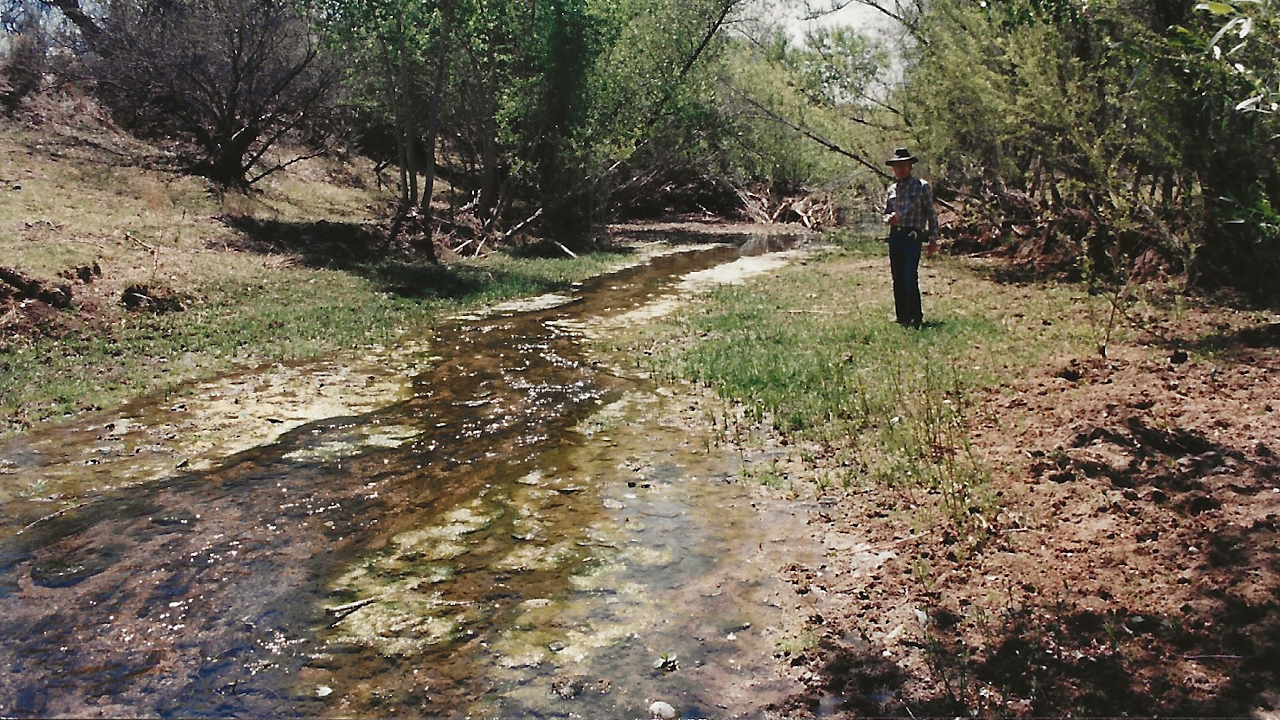 Ash Creek, V-Bar Grazing Allotment, Verde Ranger District, April 1996