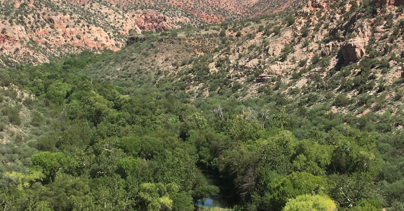 Coconino National Forest Ranches